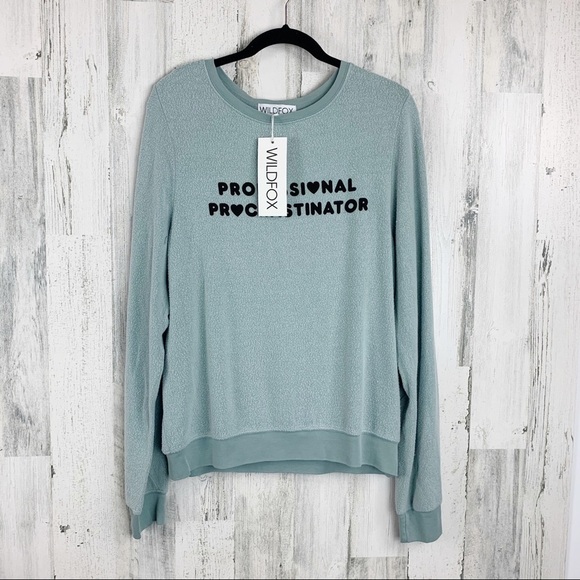 Wildfox Professional Procrastinator Pullover Small , Large - Picture 6 of 6